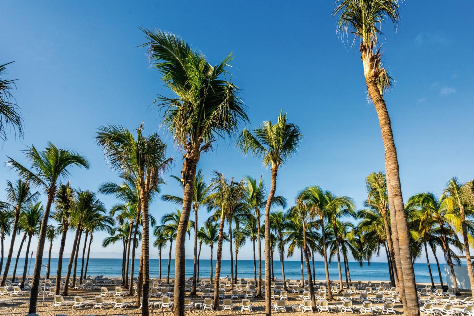 Riu Vallarta Nuevo Vallarta Exteriör bild